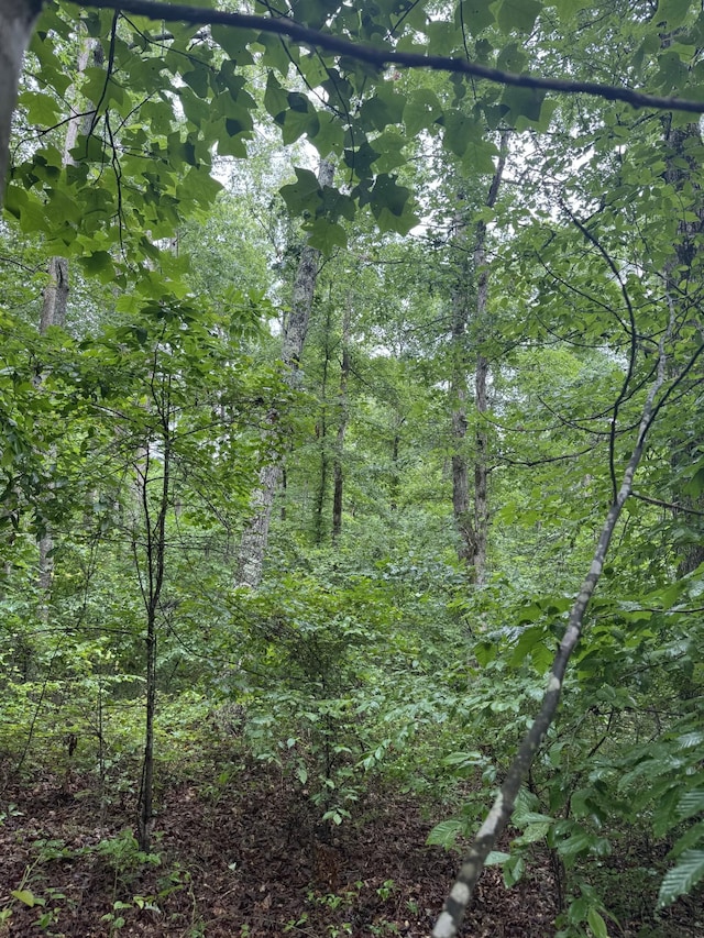 929 Mason Bates Bend Rd, Centerville, TN 37033