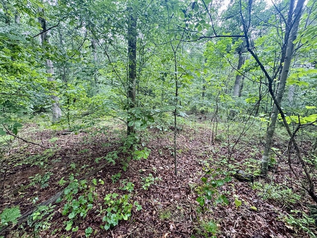 929 Mason Bates Bend Rd, Centerville, TN 37033