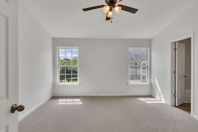 2017 Victory Gallop Ln, Murfreesboro, TN 37128 - photo 19