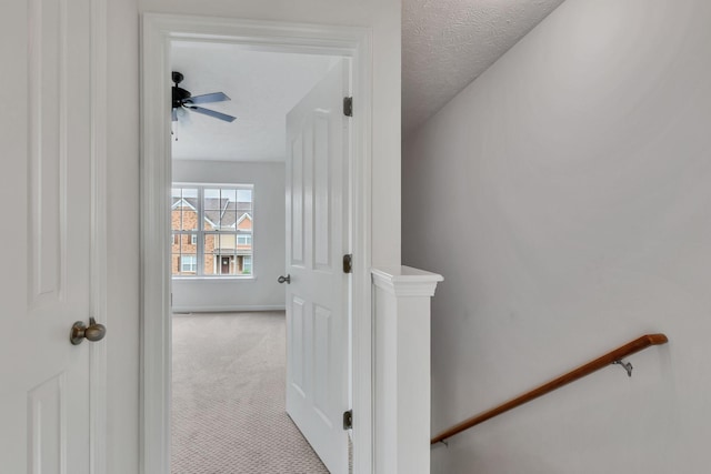 2017 Victory Gallop Ln, Murfreesboro, TN 37128 - photo 13