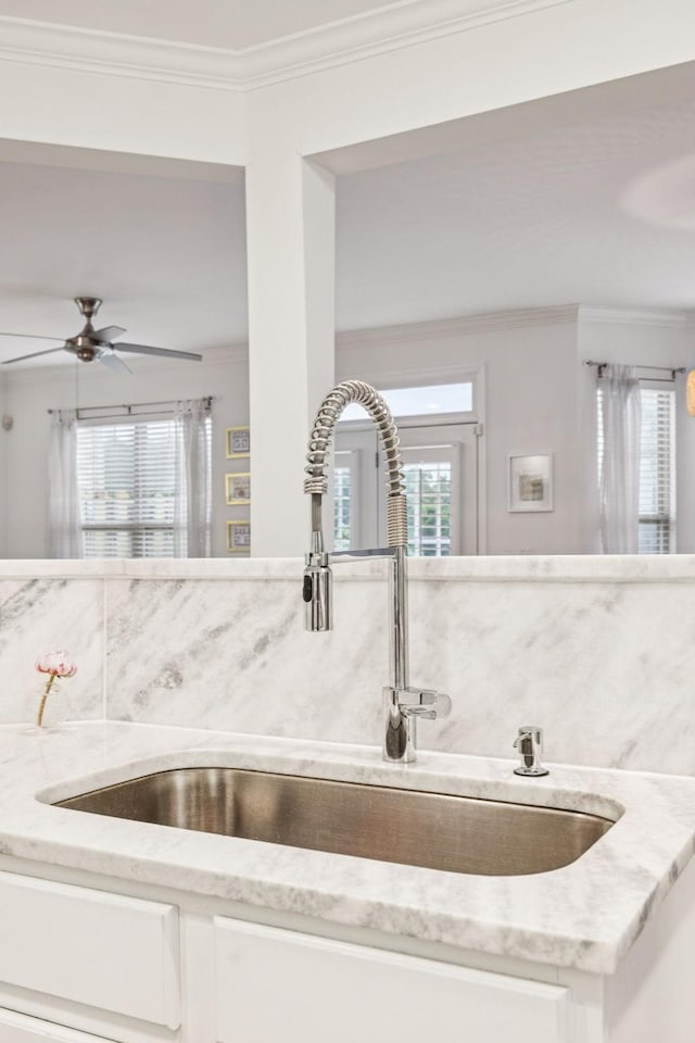 641 Old Hickory Blvd Unit 35, Brentwood, TN 37027 - kitchen view of crown molding, a sink, light stone counters, and white cabinetry