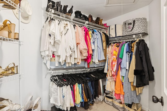 641 Old Hickory Blvd Unit 35, Brentwood, TN 37027 - spacious closet with attic access