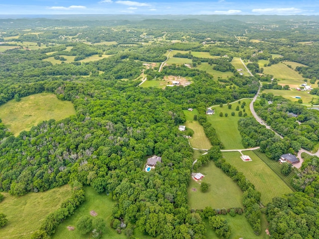 6779 Arno Allisona Rd, College Grove, TN 37046 - overview of rural landscape with a heavily wooded area