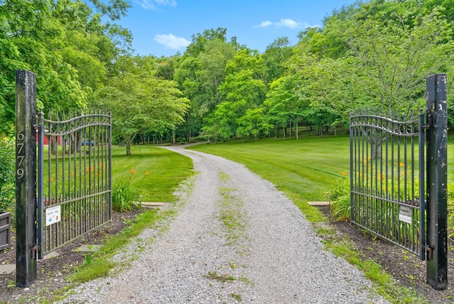 6779 Arno Allisona Rd, College Grove, TN 37046 - view of street with a gate and a gated entry