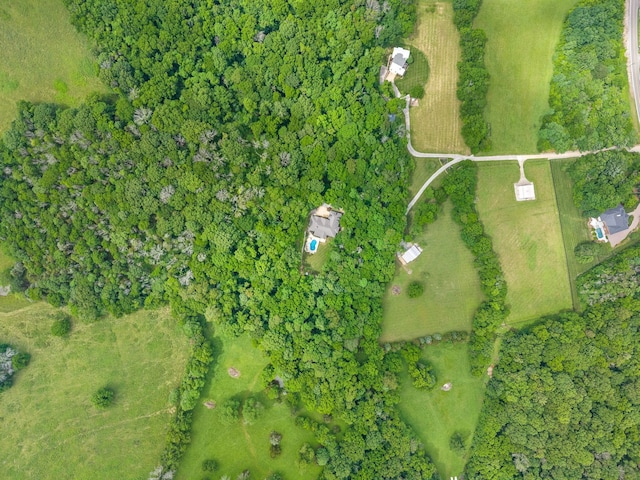 6779 Arno Allisona Rd, College Grove, TN 37046 - aerial view of property and surrounding area