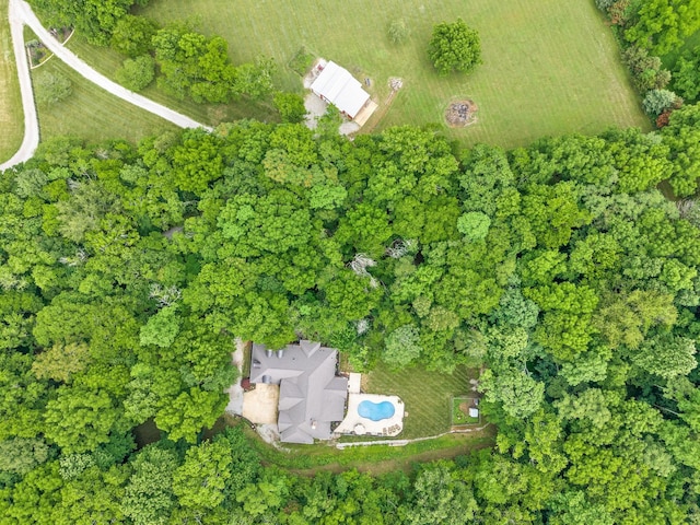 6779 Arno Allisona Rd, College Grove, TN 37046 - view of property location with a pool