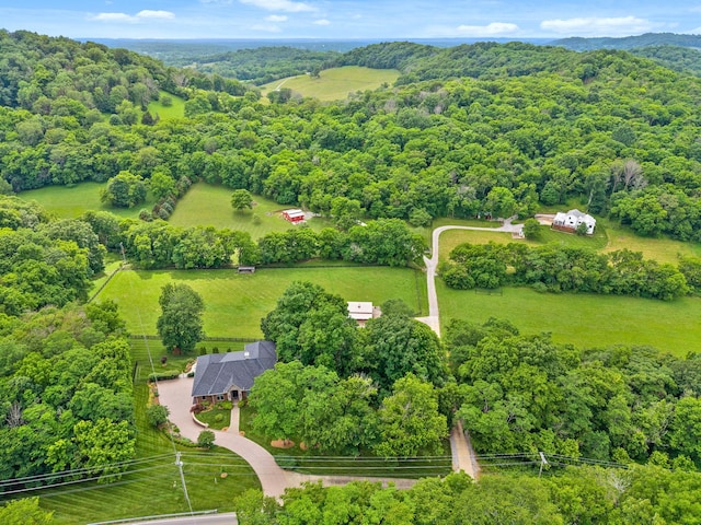 6779 Arno Allisona Rd, College Grove, TN 37046 - aerial view of a forest