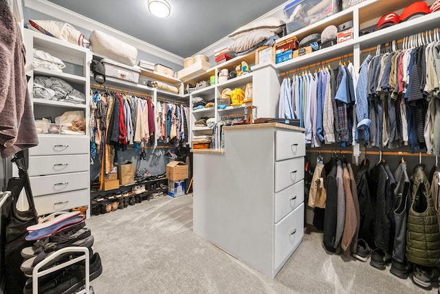 6779 Arno Allisona Rd, College Grove, TN 37046 - walk in closet featuring carpet
