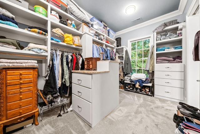 6779 Arno Allisona Rd, College Grove, TN 37046 - spacious closet with light carpet