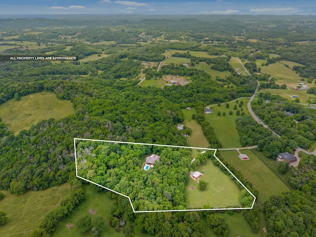6779 Arno Allisona Rd, College Grove, TN 37046 - view of rural area with property parcel outlined