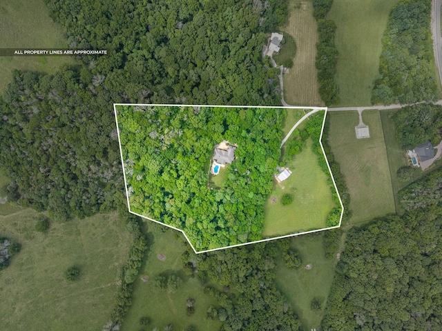 6779 Arno Allisona Rd, College Grove, TN 37046 - aerial view of property and surrounding area with property parcel outlined