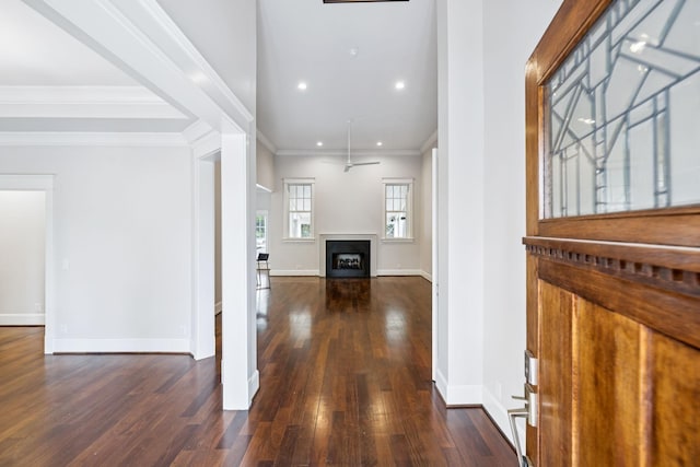 286 Keswick Grove Ln, Franklin, TN 37067 - corridor featuring dark wood-style flooring, baseboards, recessed lighting, and crown molding