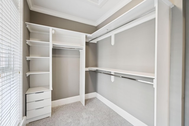 286 Keswick Grove Ln, Franklin, TN 37067 - spacious closet with light carpet