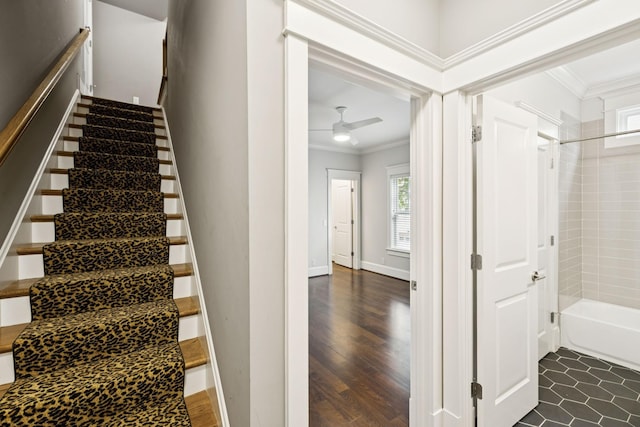 286 Keswick Grove Ln, Franklin, TN 37067 - staircase with crown molding, a ceiling fan, wood finished floors, and baseboards