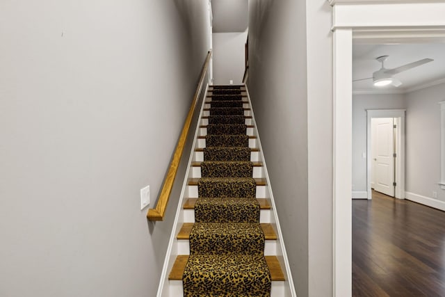 286 Keswick Grove Ln, Franklin, TN 37067 - stairs with wood finished floors, ceiling fan, baseboards, and crown molding