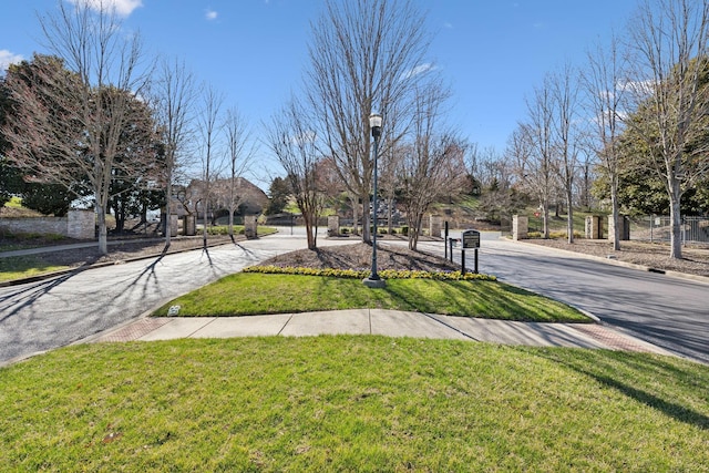 286 Keswick Grove Ln, Franklin, TN 37067 - view of green lawn