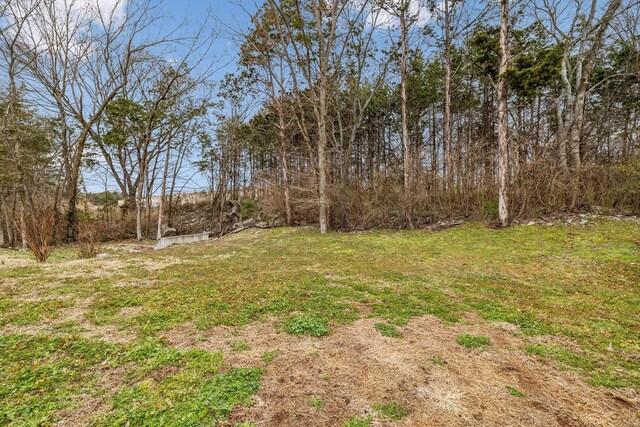 1006 Alexandria Way, Lebanon, TN 37087 - photo 37