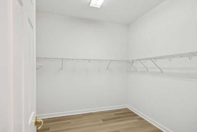 1906 Montgomery Way, Franklin, TN 37067 - walk in closet with wood finished floors
