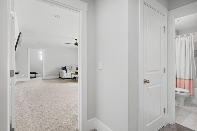 270 Rock Cress Rd, Nolensville, TN 37135 - photo 41