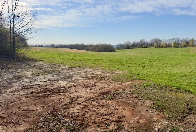 2198 Maple Spring Rd, Dayton, TN 37321 - view of undeveloped land featuring rural landscape
