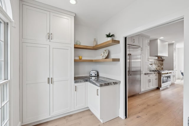 205 Well Spring Ct, Brentwood, TN 37027 - kitchen with premium appliances, decorative backsplash, light wood-style floors, dark countertops, and recessed lighting