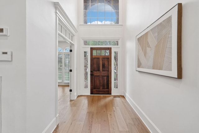 205 Well Spring Ct, Brentwood, TN 37027 - entryway with hardwood / wood-style floors, healthy amount of natural light, baseboards, and a high ceiling