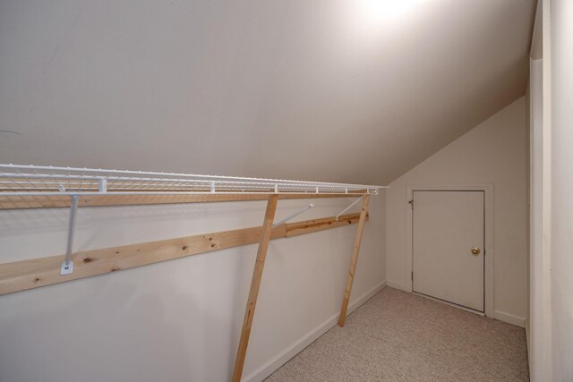 2321 Riverway Dr, Old Hickory, TN 37138 - spacious closet featuring light carpet and lofted ceiling