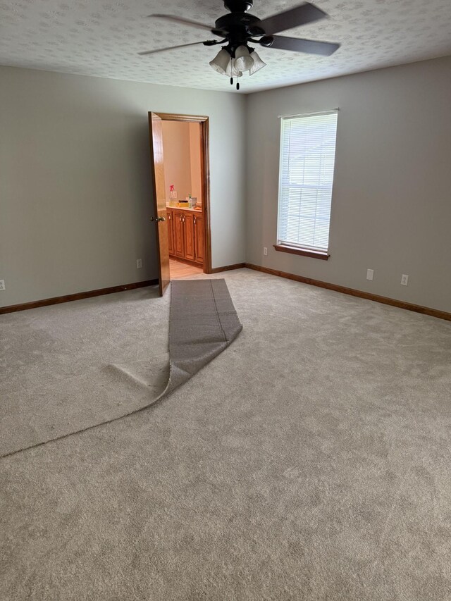 8770 Harrison Ferry Rd, Mcminnville, TN 37110 - photo 8