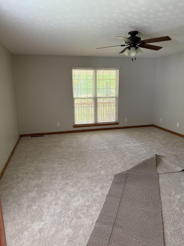 8770 Harrison Ferry Rd, Mcminnville, TN 37110 - photo 9