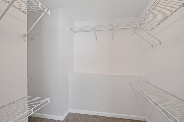 602 Pemberton Ct, Mount Juliet, TN 37122 - spacious closet featuring carpet