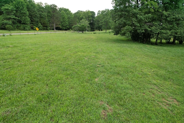 0 Defeated Creek Rd, Centerville, TN 37033 - photo 7