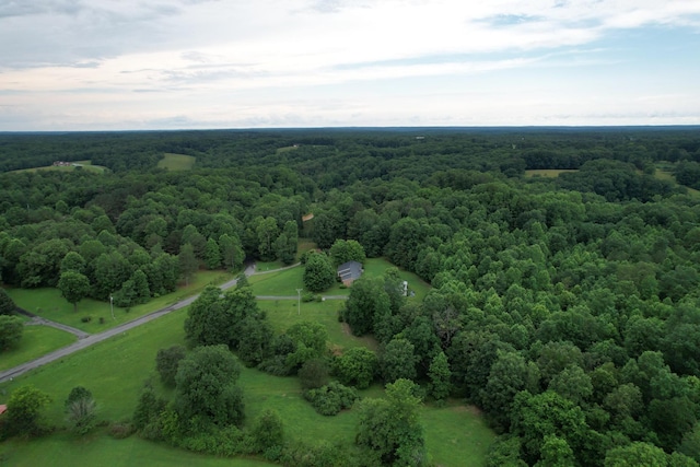 0 Defeated Creek Rd, Centerville, TN 37033 - photo 15
