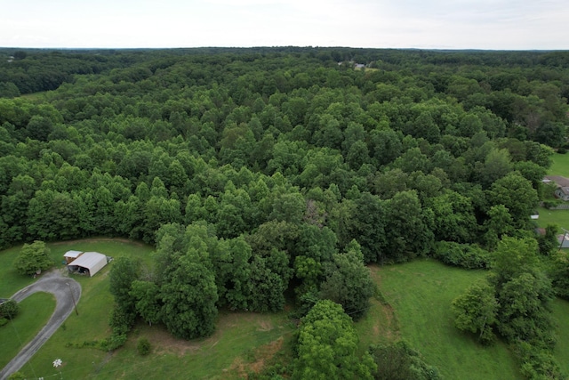 0 Defeated Creek Rd, Centerville, TN 37033 - photo 5