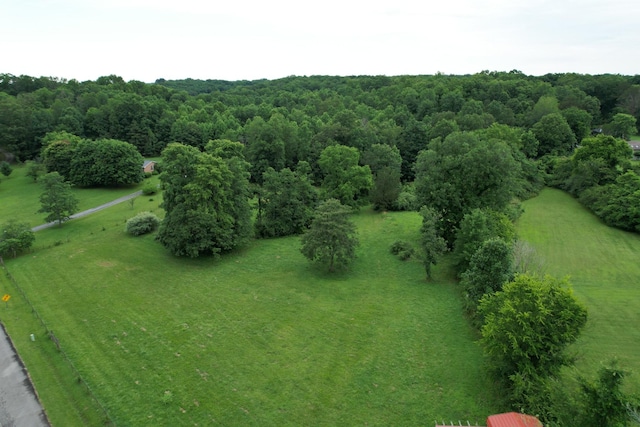 0 Defeated Creek Rd, Centerville, TN 37033 - photo 2