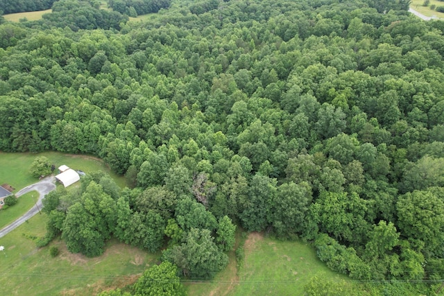 0 Defeated Creek Rd, Centerville, TN 37033 - photo 14