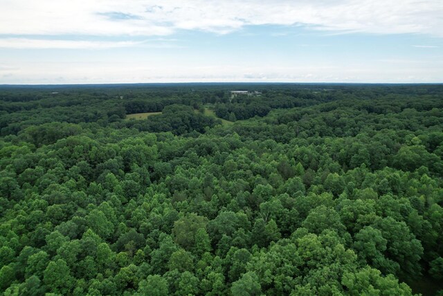 0 Defeated Creek Rd, Centerville, TN 37033 - photo 17