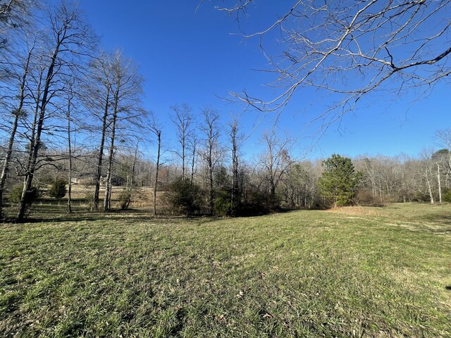 0 Defeated Creek Rd, Centerville, TN 37033 - photo 18