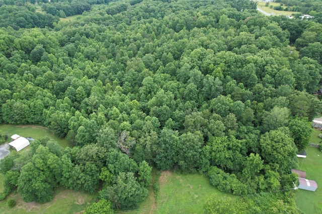 0 Defeated Creek Rd, Centerville, TN 37033 - photo 11