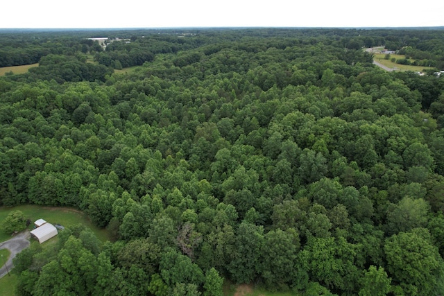 0 Defeated Creek Rd, Centerville, TN 37033 - photo 12