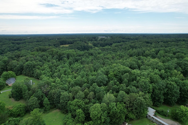 0 Defeated Creek Rd, Centerville, TN 37033 - photo 16