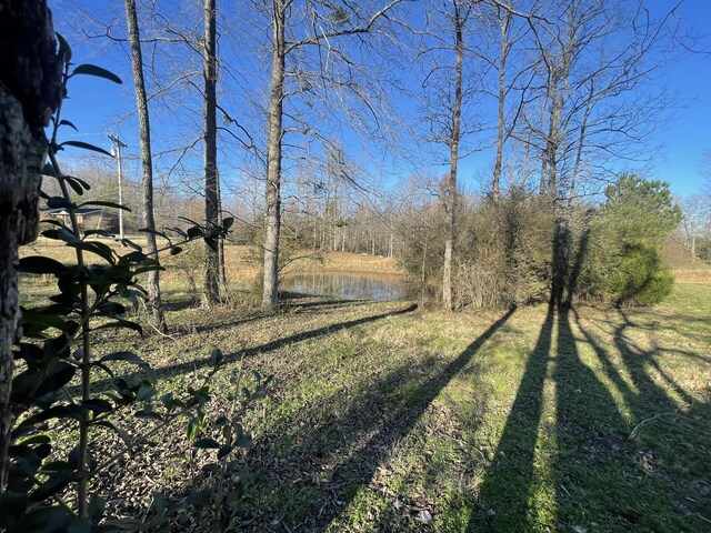 0 Defeated Creek Rd, Centerville, TN 37033 - photo 20