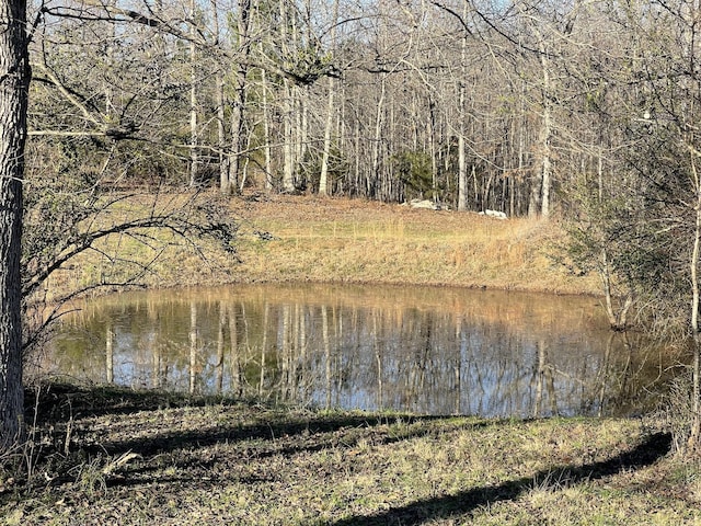 0 Defeated Creek Rd, Centerville, TN 37033 - photo 19