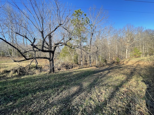 0 Defeated Creek Rd, Centerville, TN 37033 - photo 21