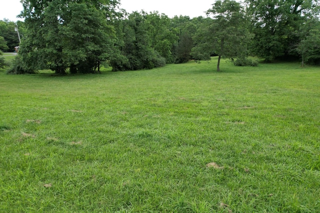 0 Defeated Creek Rd, Centerville, TN 37033 - photo 8