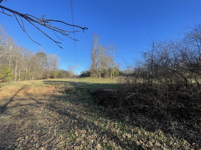 0 Defeated Creek Rd, Centerville, TN 37033 - photo 24
