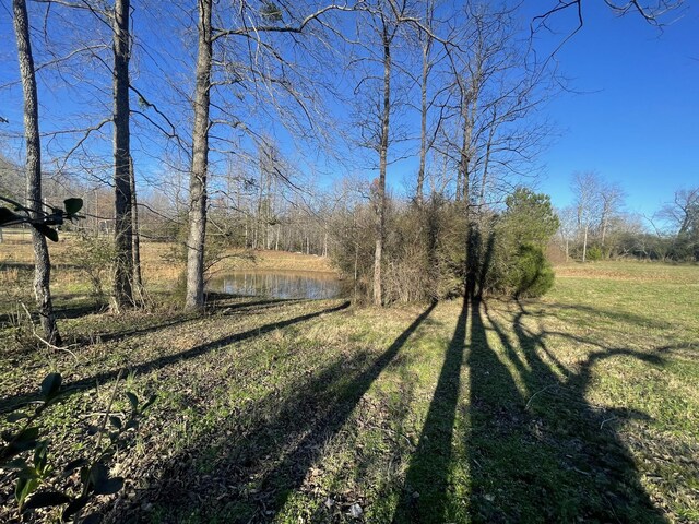 0 Defeated Creek Rd, Centerville, TN 37033 - photo 22