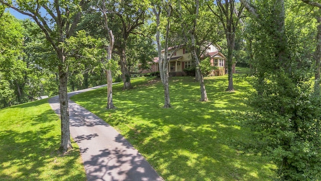 208 Vaughns Gap Rd, Nashville, TN 37205 - photo 3