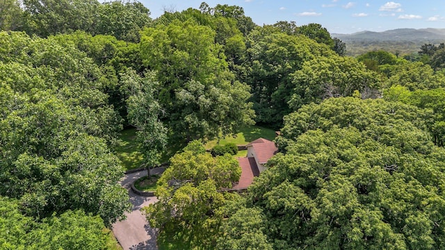 208 Vaughns Gap Rd, Nashville, TN 37205 - photo 42