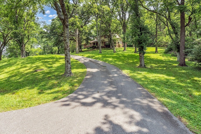 208 Vaughns Gap Rd, Nashville, TN 37205 - photo 5