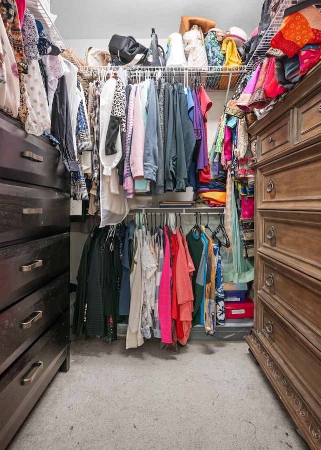 114 Silver Leaf Cir, Dickson, TN 37055 - spacious closet featuring carpet flooring